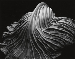 Dramatic black and white abstract folds resembling flowing fabric